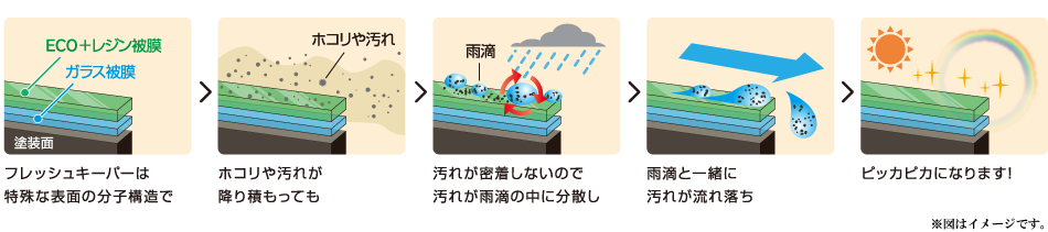 フレッシュキーパーの仕組み図