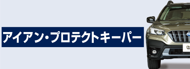 ボディガラスコーティング Ｗダイヤモンドキーパー